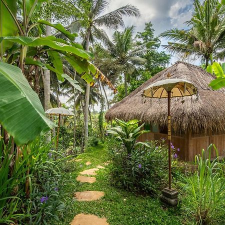 Villa Ressource Ubud Bedahulu Экстерьер фото