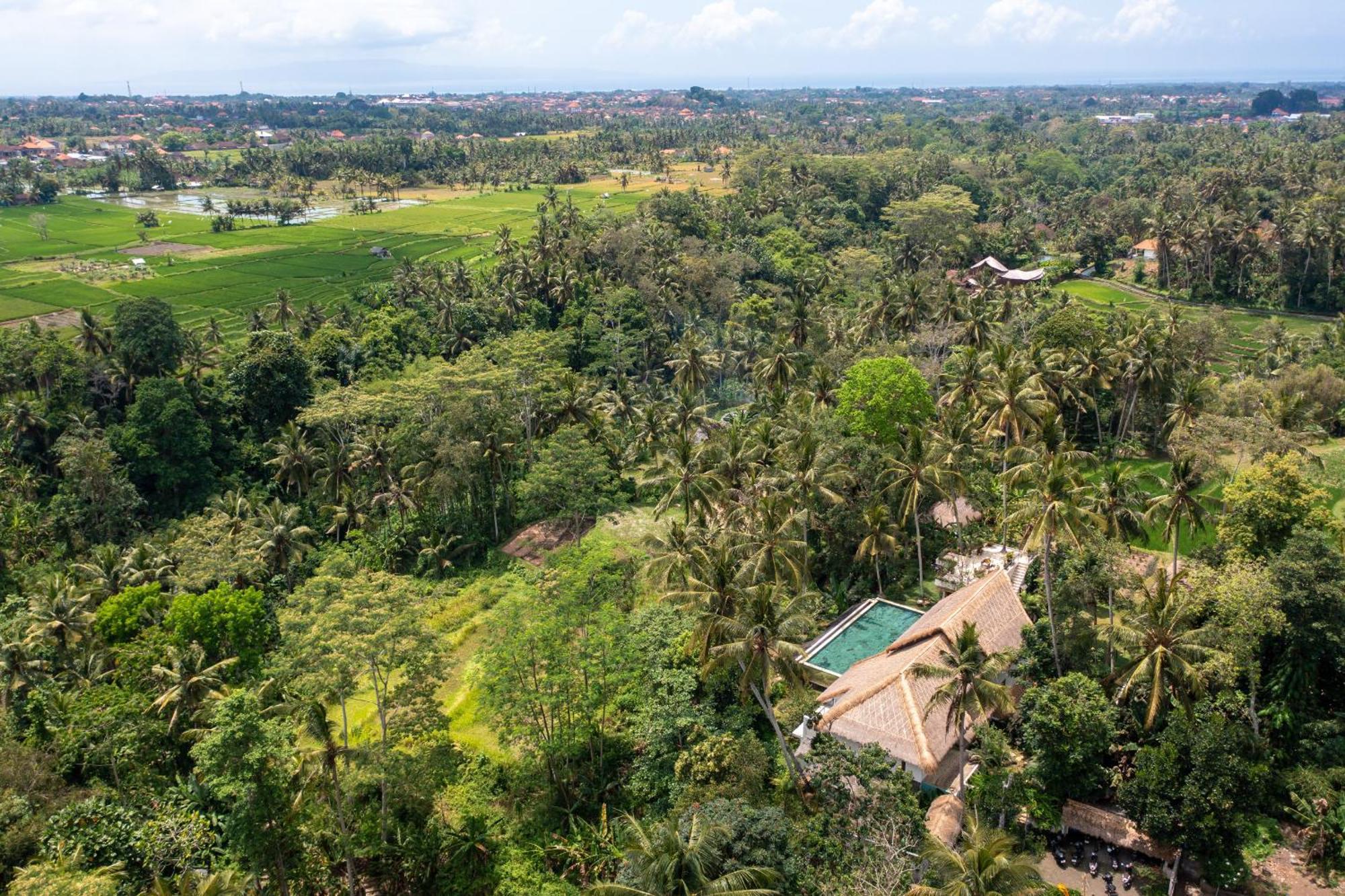 Villa Ressource Ubud Bedahulu Экстерьер фото
